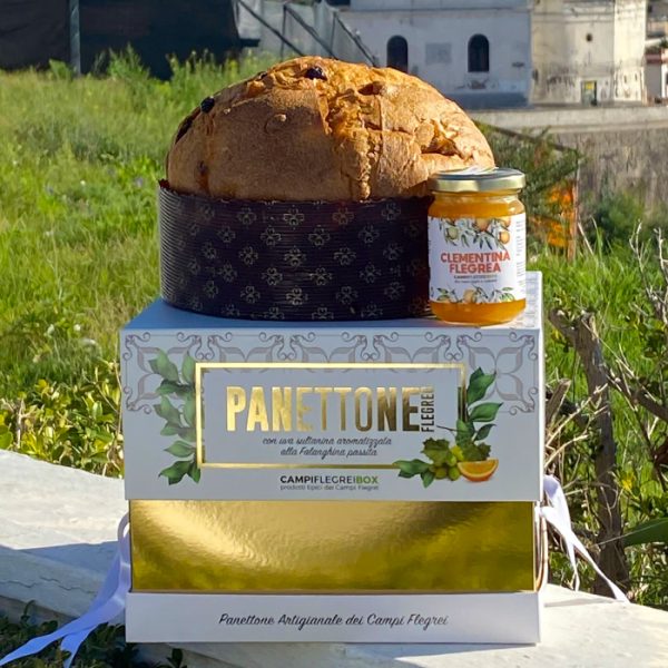 Panettone Tradizionale